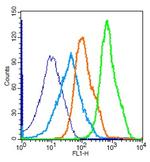 NFKB p65 Antibody in Flow Cytometry (Flow)