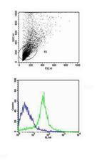 CD31 Antibody in Flow Cytometry (Flow)