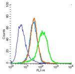 CD31 Antibody in Flow Cytometry (Flow)