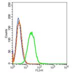 CD45 Antibody in Flow Cytometry (Flow)