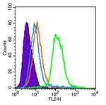 SCF Antibody in Flow Cytometry (Flow)