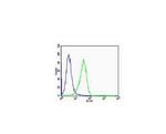 Cyclin B1 Antibody in Flow Cytometry (Flow)