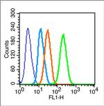 Connexin 43 Antibody in Flow Cytometry (Flow)