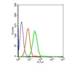 LRP Antibody in Flow Cytometry (Flow)