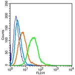 Insulin Receptor Antibody in Flow Cytometry (Flow)