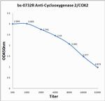 Cyclooxygenase 2 Antibody in ELISA (ELISA)