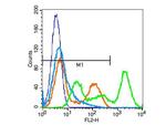 CD56 Antibody in Flow Cytometry (Flow)