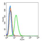 TTF-1 Antibody in Flow Cytometry (Flow)