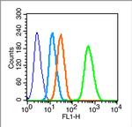 Nanog Antibody in Flow Cytometry (Flow)