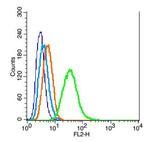 WDR26 Antibody in Flow Cytometry (Flow)