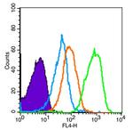 TRIM32/BBS11 Antibody in Flow Cytometry (Flow)