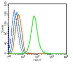 Transferrin receptor Antibody in Flow Cytometry (Flow)