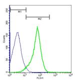 E cadherin Antibody in Flow Cytometry (Flow)