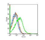 ACE2 Antibody in Flow Cytometry (Flow)