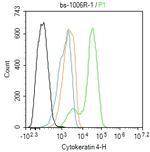 CK4 Antibody in Flow Cytometry (Flow)