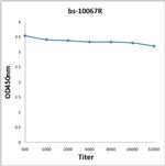 ROR1 Antibody in ELISA (ELISA)