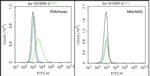 CMKLR1 Antibody in Flow Cytometry (Flow)