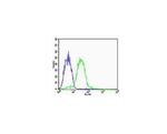 CHI3L1 Antibody in Flow Cytometry (Flow)