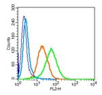 CD101 Antibody in Flow Cytometry (Flow)