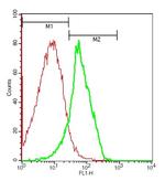 CD11b/c Antibody in Flow Cytometry (Flow)