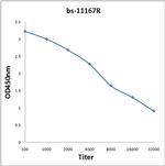 VGLUT1/VGLUT2 Antibody in ELISA (ELISA)