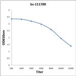 SPP/Signal Peptide Peptidase Antibody in ELISA (ELISA)