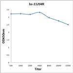 PAX6 Antibody in ELISA (ELISA)