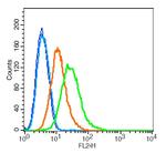 HB9/HLXB9 Antibody in Flow Cytometry (Flow)