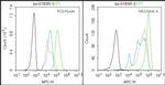 HB9/HLXB9 Antibody in Flow Cytometry (Flow)