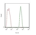 PTP zeta Antibody in Flow Cytometry (Flow)