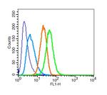 STAT3 Antibody in Flow Cytometry (Flow)