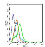 NMUR1/GPR66 Antibody in Flow Cytometry (Flow)