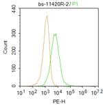 NMUR1/GPR66 Antibody in Flow Cytometry (Flow)