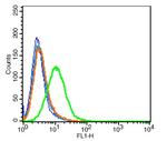 MOT8/SLC16A2 Antibody in Flow Cytometry (Flow)