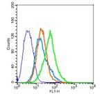 RAI3 Antibody in Flow Cytometry (Flow)