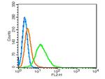 RhoA/C Antibody in Flow Cytometry (Flow)