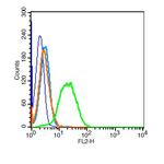 TRAF3 Antibody in Flow Cytometry (Flow)