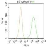 MUPP1/MPDZ Antibody in Flow Cytometry (Flow)