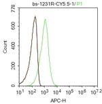 ABCG1 Antibody in Flow Cytometry (Flow)