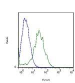 FLRT3 Antibody in Flow Cytometry (Flow)