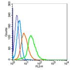 AMHR2 Antibody in Flow Cytometry (Flow)