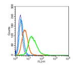 Aromatase Antibody in Flow Cytometry (Flow)