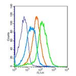 CD28 Antibody in Flow Cytometry (Flow)