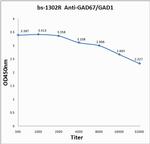 GAD67/GAD1 Antibody in ELISA (ELISA)