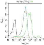 Phospho-FAK (Tyr576) Antibody in Flow Cytometry (Flow)