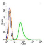 Ezrin Antibody in Flow Cytometry (Flow)