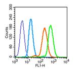 ATM Antibody in Flow Cytometry (Flow)