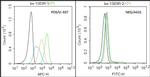 CD13/APN/ANPEN Antibody in Flow Cytometry (Flow)