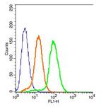 MC-1R/MC1 Receptor Antibody in Flow Cytometry (Flow)