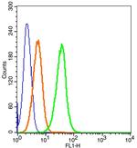 EPOR Antibody in Flow Cytometry (Flow)